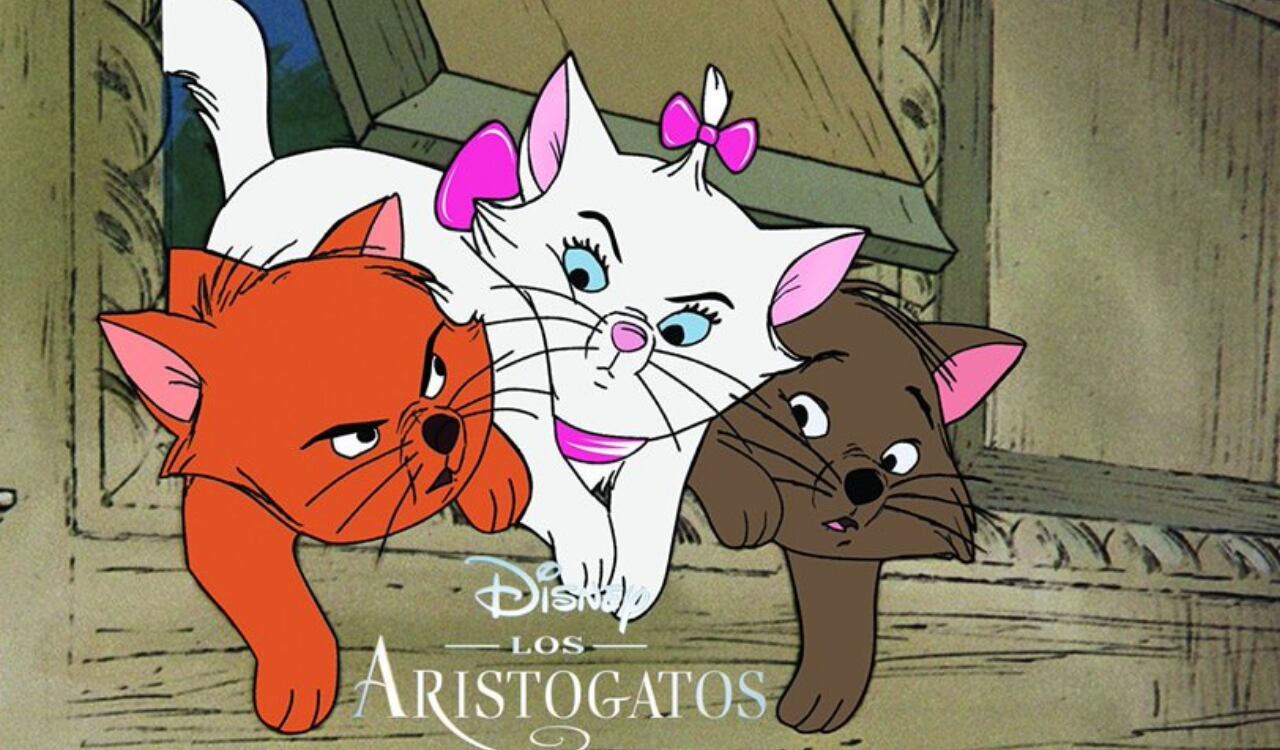 Aristogatos, aristocats.