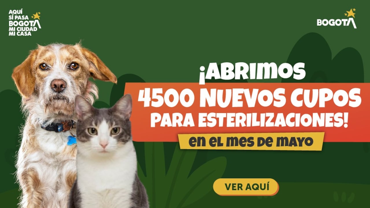 IDPYBA abrió 4500 cupos para esterilización de máscotas en Bogotá.