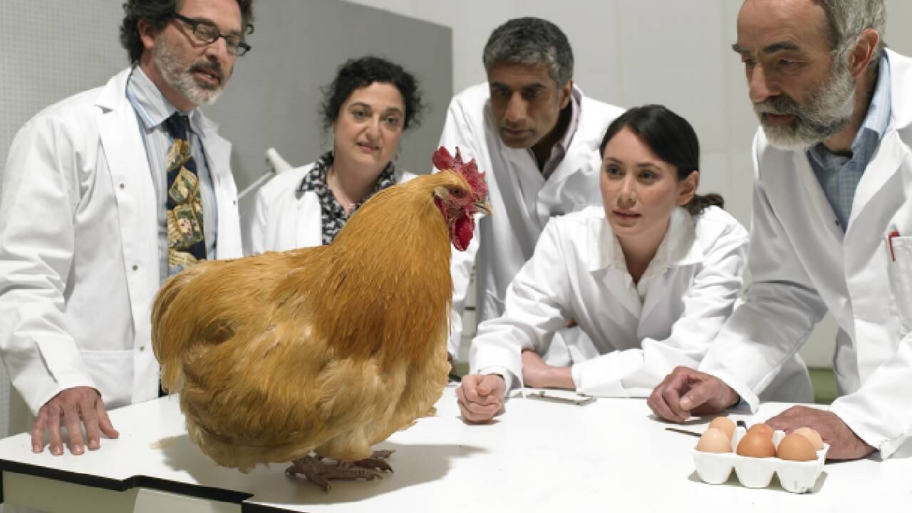 Desde la ciencia ya han surgido explicaciones.