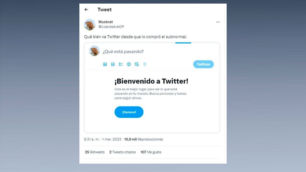 Usuarios de Twitter manifiestan tener problemas con la red social.