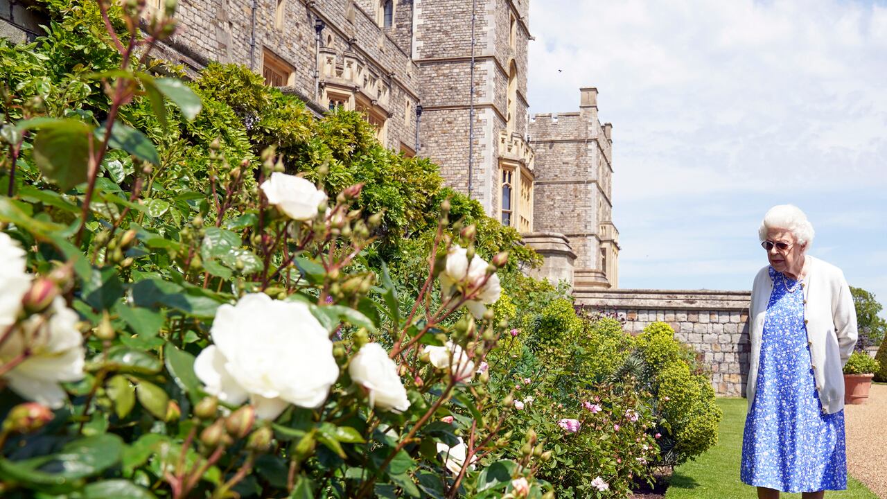 La reina presenció la siembra del arbusto de la flor en los jardines del ala este de Windsor.