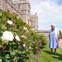 La reina presenció la siembra del arbusto de la flor en los jardines del ala este de Windsor.