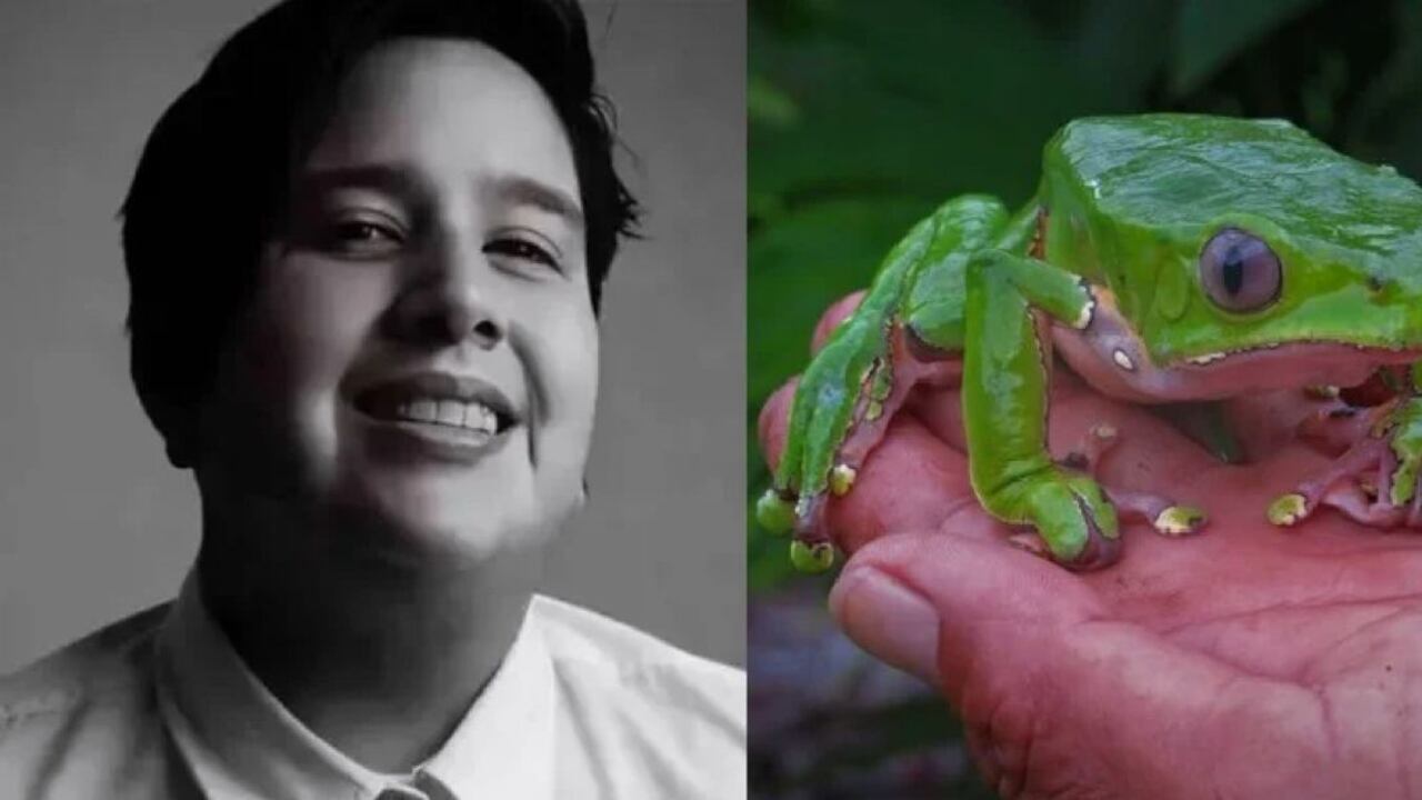 Actriz murió por intoxicación con veneno de rana durante ritual ...