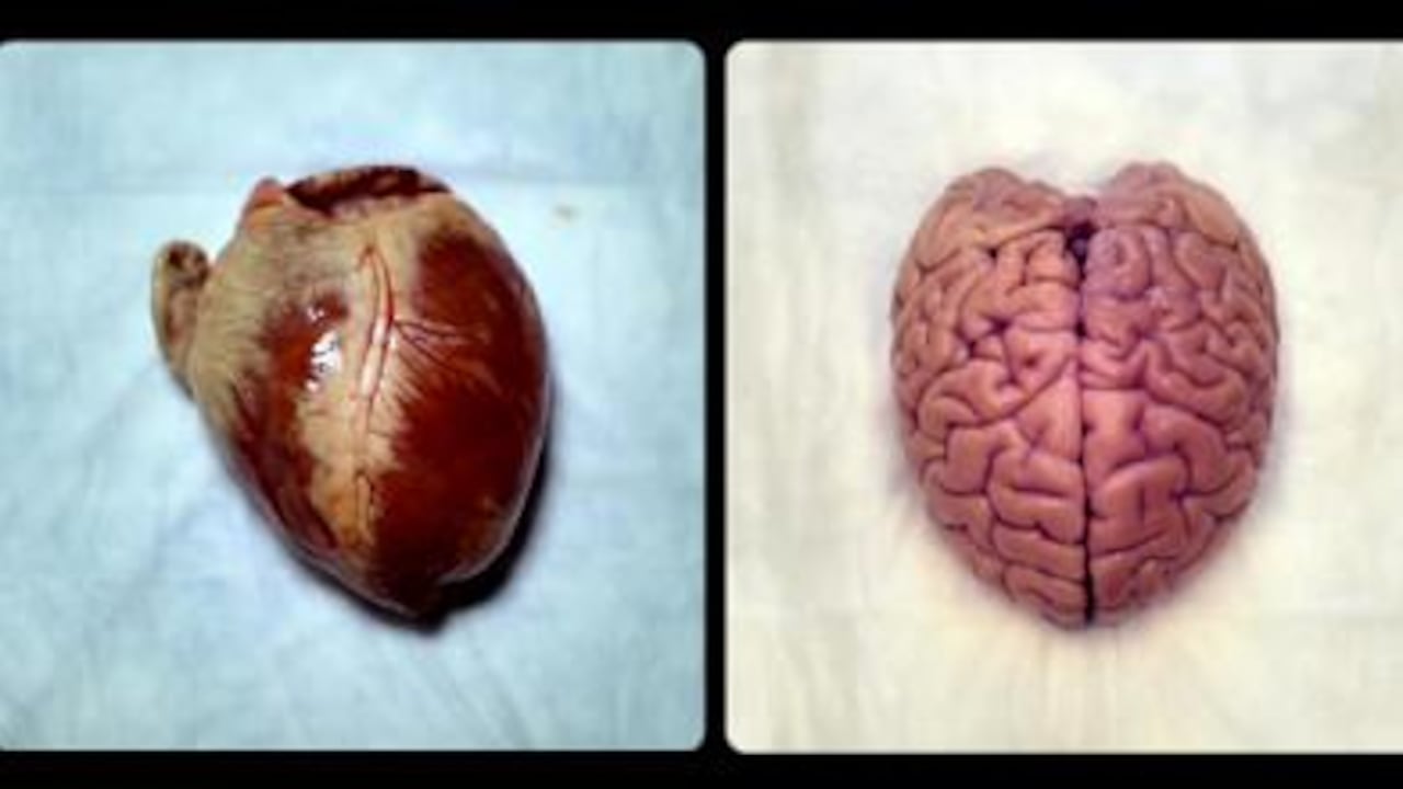 Fotograma de "Symmetry", video ganador.