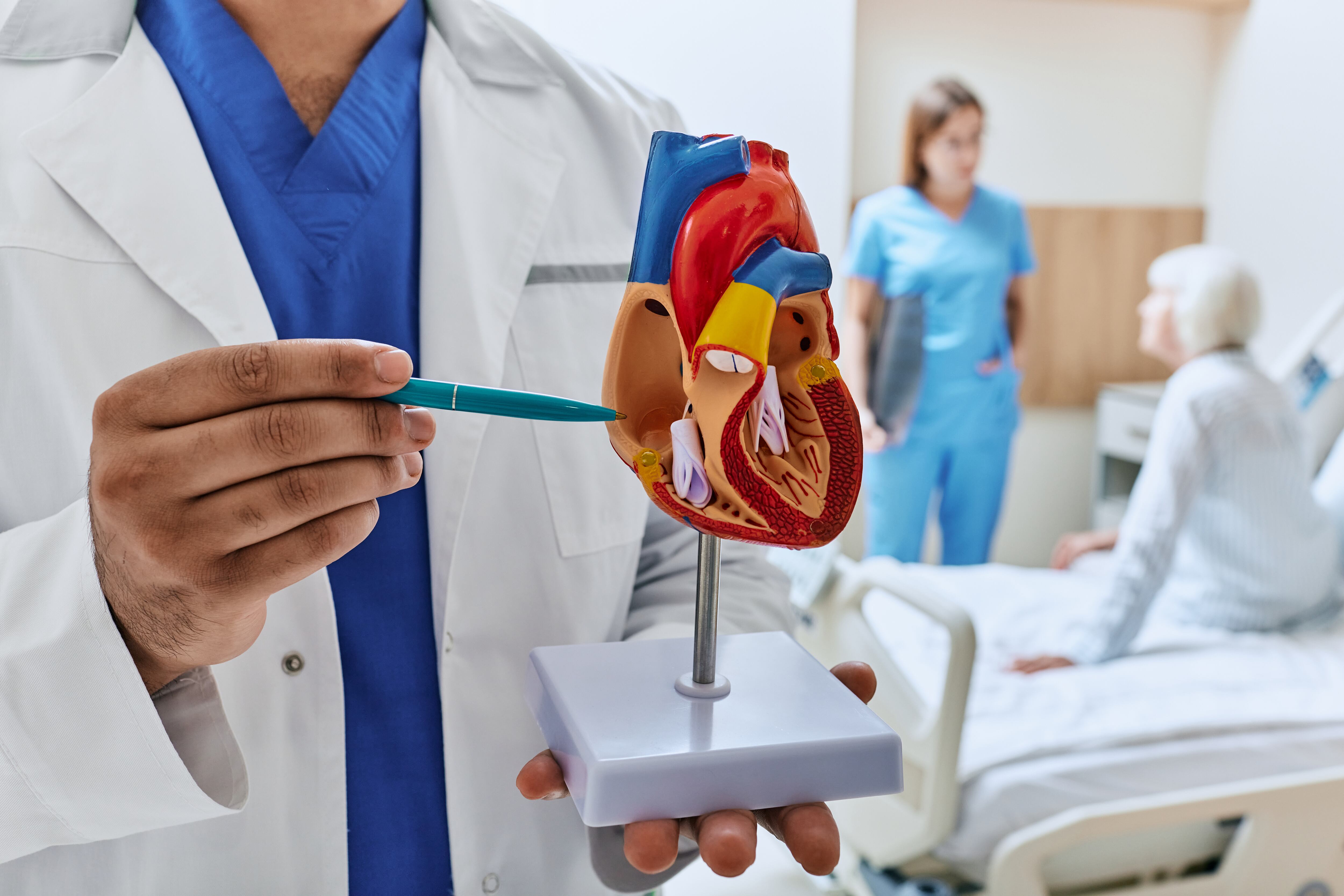 Elderly patient in cardiology ward of hospital with doctors analyzing her health and showing anatomical model of heart. Medical care for patients with heart disease, concept