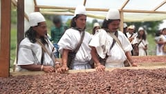 Uno de los recientes logros de Asoseynekun es el envío de cacao en un velero que partió rumbo a Europa.