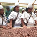 Uno de los recientes logros de Asoseynekun es el envío de cacao en un velero que partió rumbo a Europa.