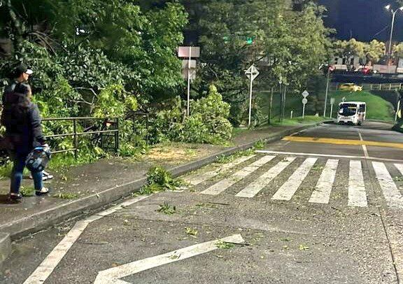 Emergencias por lluvias y vendavales en Manizales este viernes, 17 de noviembre de 2023