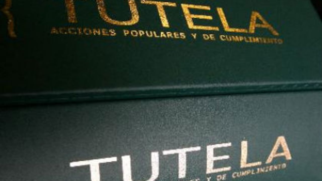 La tutela ha sido el mecanismo más expedito para que los ciudadanos hagan efectivos sus derechos.