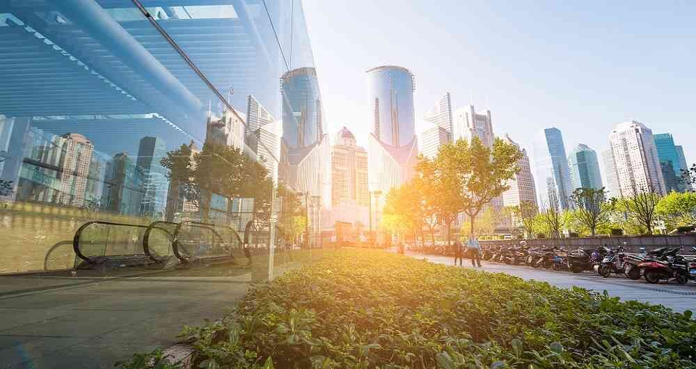 Afirman que es mejor ser un fast follower coherente y con resultados tangibles.