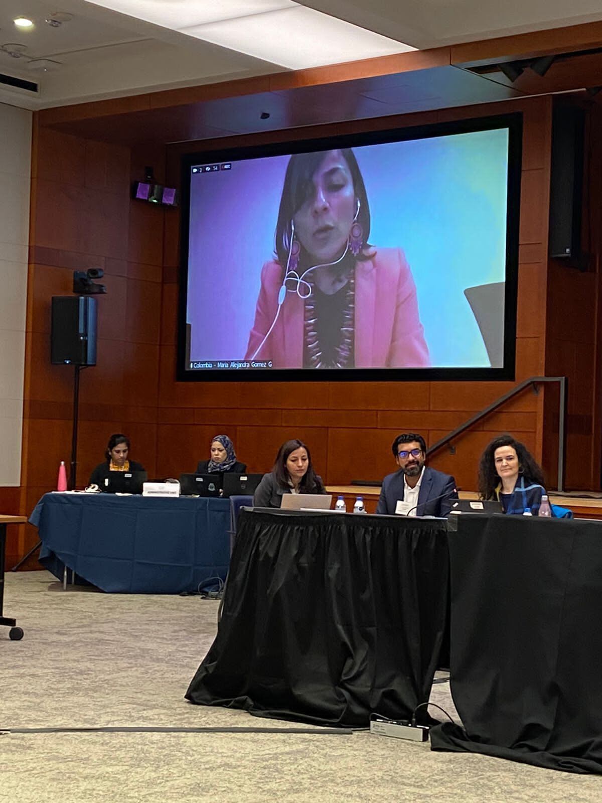 Irene Vélez, ministra de Minas y Energía, en reunión con Comité de Fondos de Inversión Climática, (CIF).