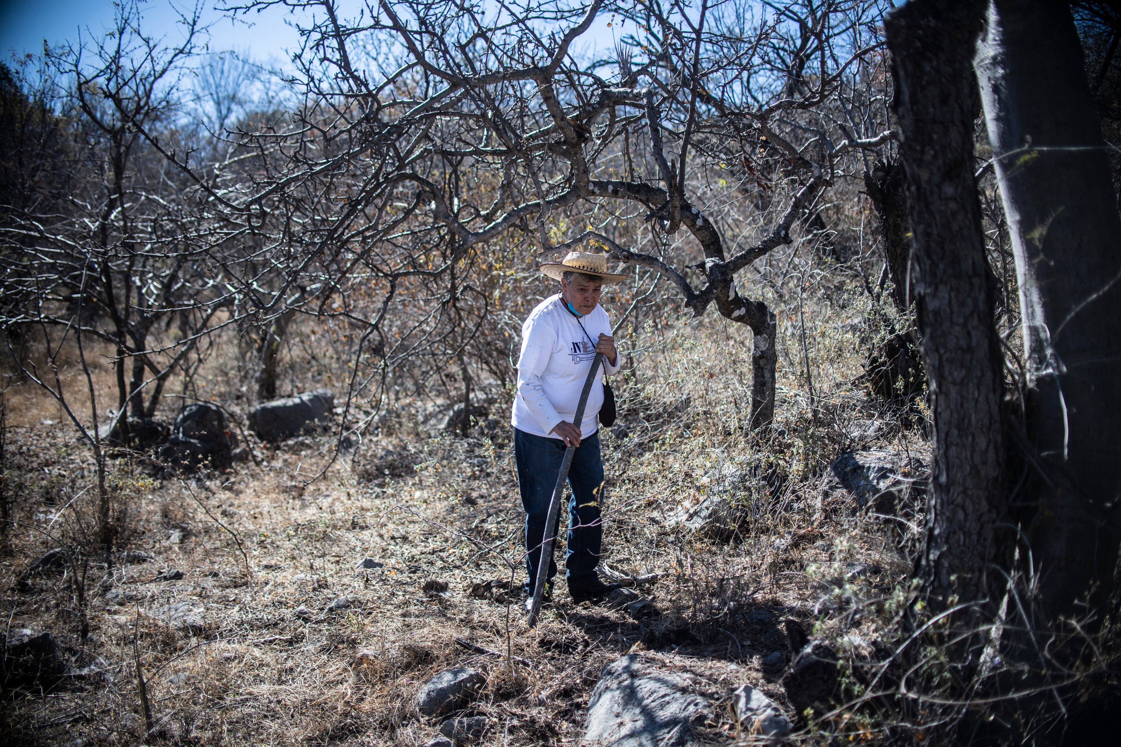 La mexicana María Herrera, quien busca a cuatro hijos desaparecidos, sostiene sus retratos durante una marcha como parte de las actividades de la Cuarta Brigada Nacional de Búsqueda, en Huitzuco de los Figueroa, Guerrero. estado, México. - María Herrera vivió una vida feliz vendiendo ropa en un mercado de México, hasta que cuatro de sus hijos desaparecieron en dos incidentes, en medio de una incesante ola de violencia. Ahora es una "fiera" que busca las huellas de sus hijos y un emblema para miles de familiares de desaparecidos. (Foto de Pedro PARDO / AFP)
