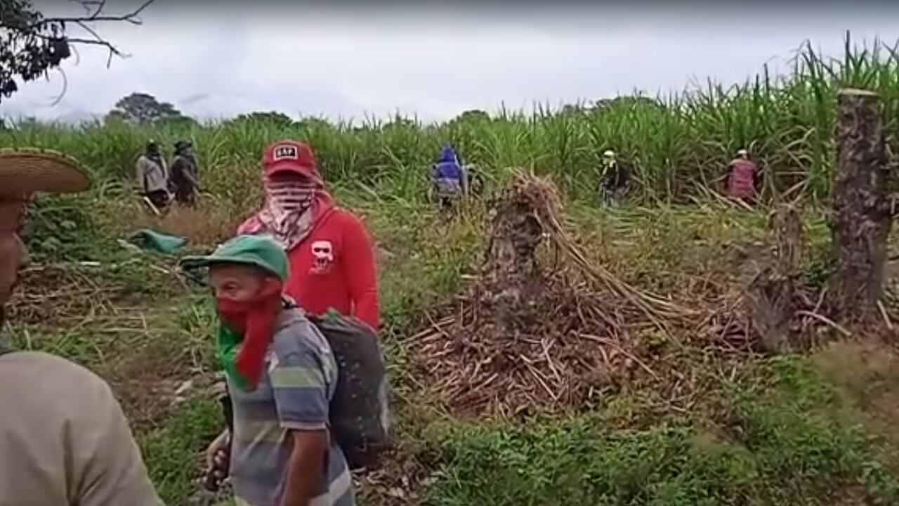 Indígenas invadieron predio en el municipio de Miranda (Cauca)