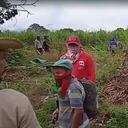 Indígenas con prendas alusivas al CRIC, están en la Hacienda Maracaibo en el Cauca, amedrantando a los trabajadores de la zona.