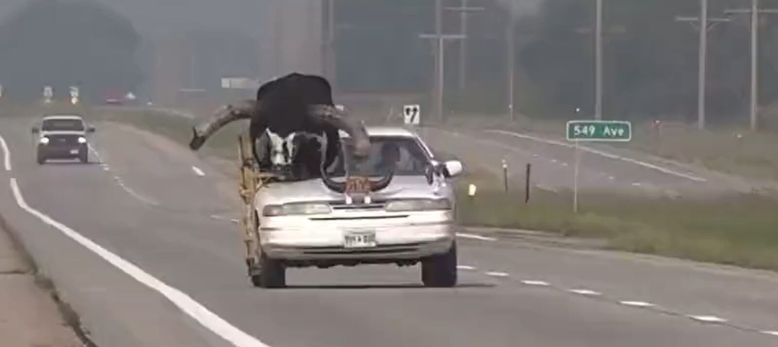 Toro Watsi en un carro.