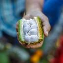 Esta iniciativa que busca la consolidación de nuevos mercados en el exterior para estos productos