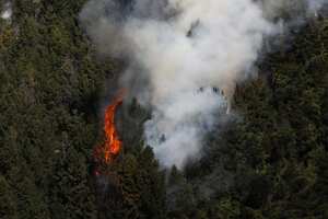 Cerros Orientales
Incendios