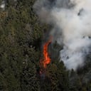 Cerros Orientales
Incendios