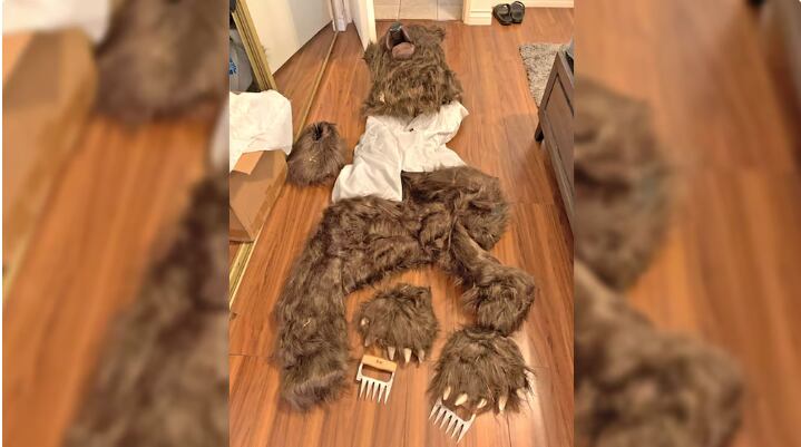 La "Operación Garra de Oso" destapó un esquema fraudulento, reclamando USD 141,839 en daños a través de tres aseguradoras.