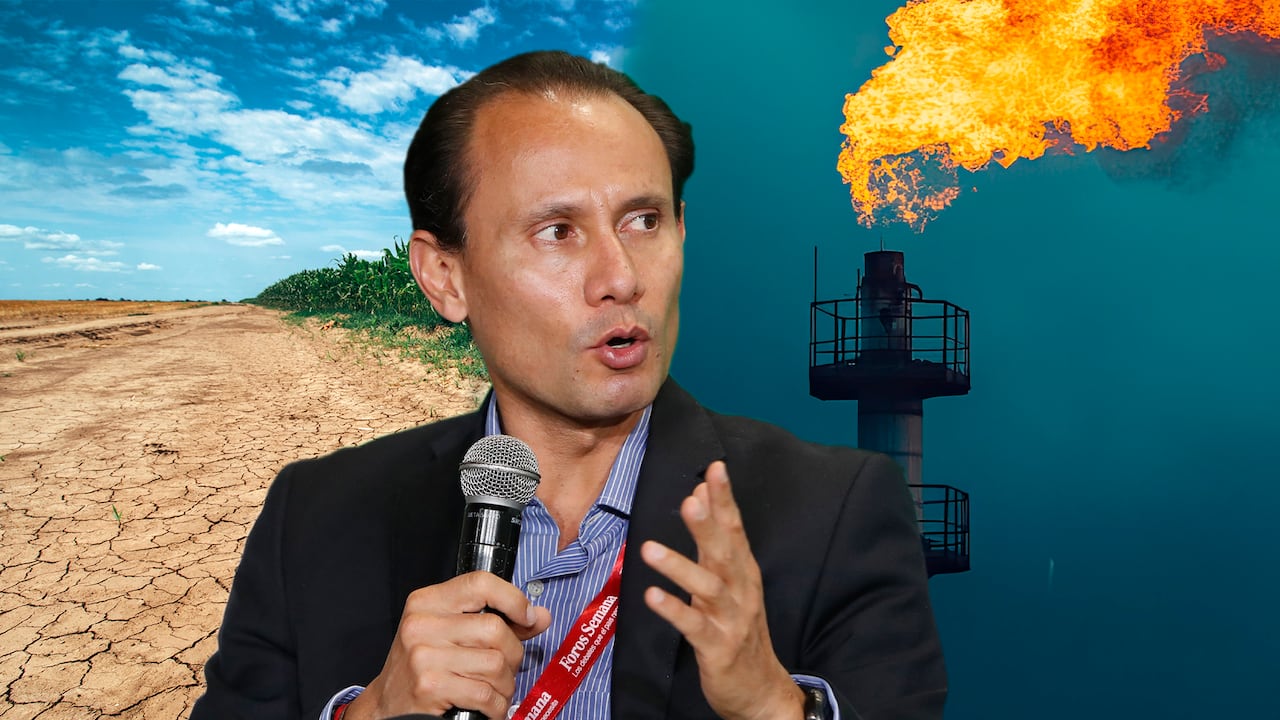 “El mensaje que le hemos dado al sector de gas y al Gobierno es hay que tener, sí o sí, dos plantas de importación listas antes de terminar el año; de lo contrario, no habrá gas”, dice Alejandro Castañeda, presidente de Andeg.