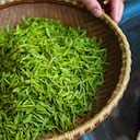 El consumo regular de té verde podría prevenir algunos tipos de cáncer.