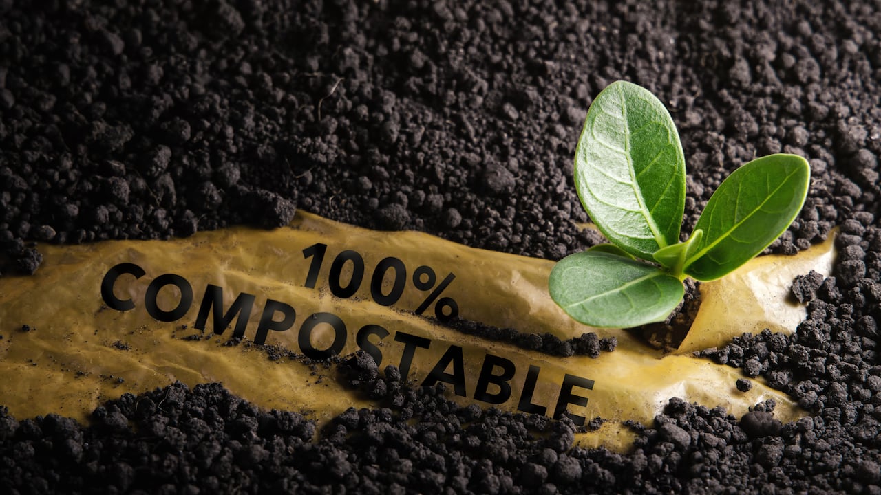 Plásticos biodegradables y compostables para cuidar el planeta. Este es el novedoso portafolio de una compañía colombiana