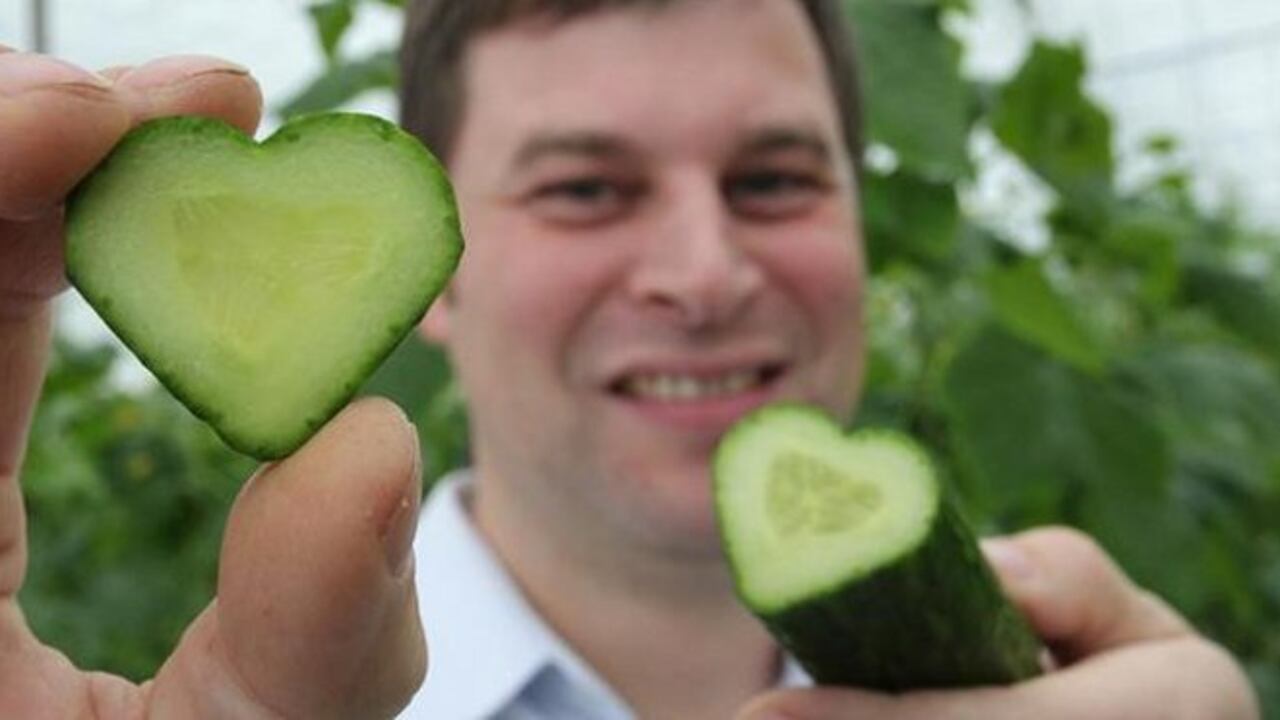 ¿A quién le interesa si la comida le resulta insípida a los enamorados? A la industria de los alimentos, por ejemplo.