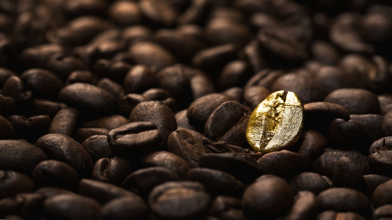 En Colombia, 548.000 familias cultivan café en 603 municipios de 23 de los 32 departamentos del país.