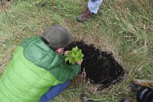 Ya se han sembrado 3.000 árboles en la reserva Nakuma del páramo de Guerrero.