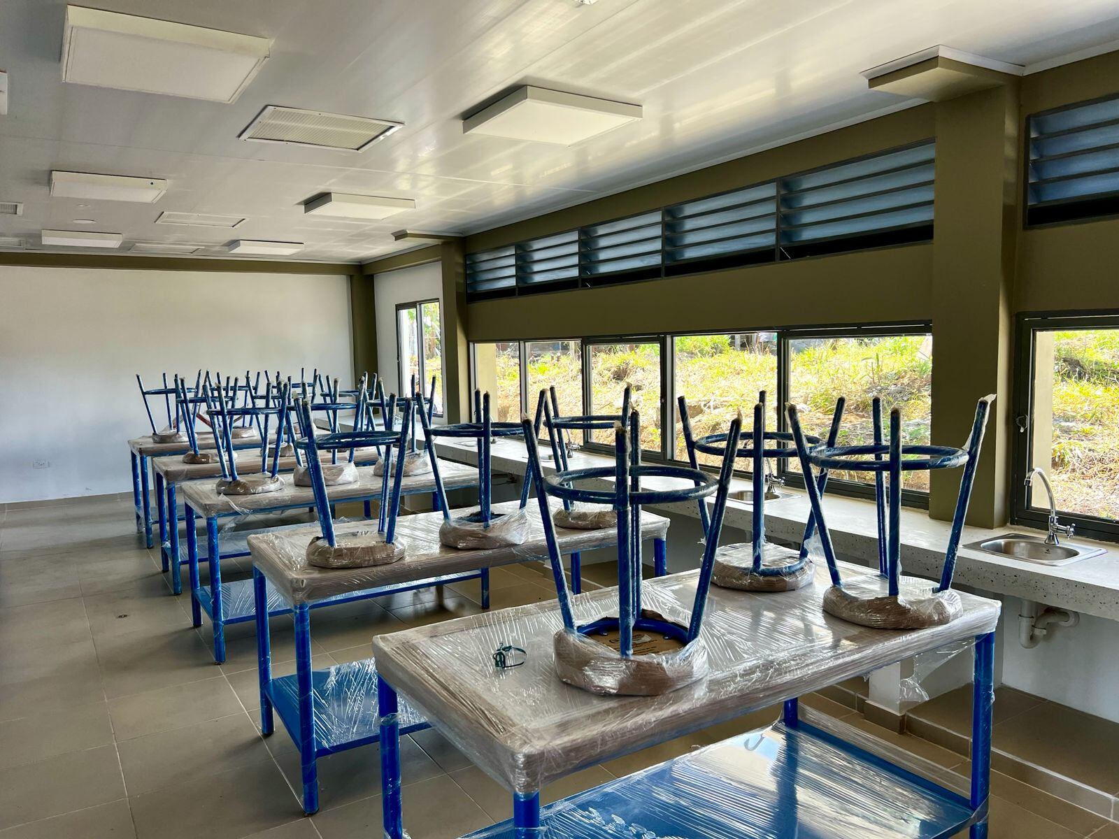 Este es el fruto del compromiso social de Smurfit Westrock con las comunidades campesinas del Cauca.