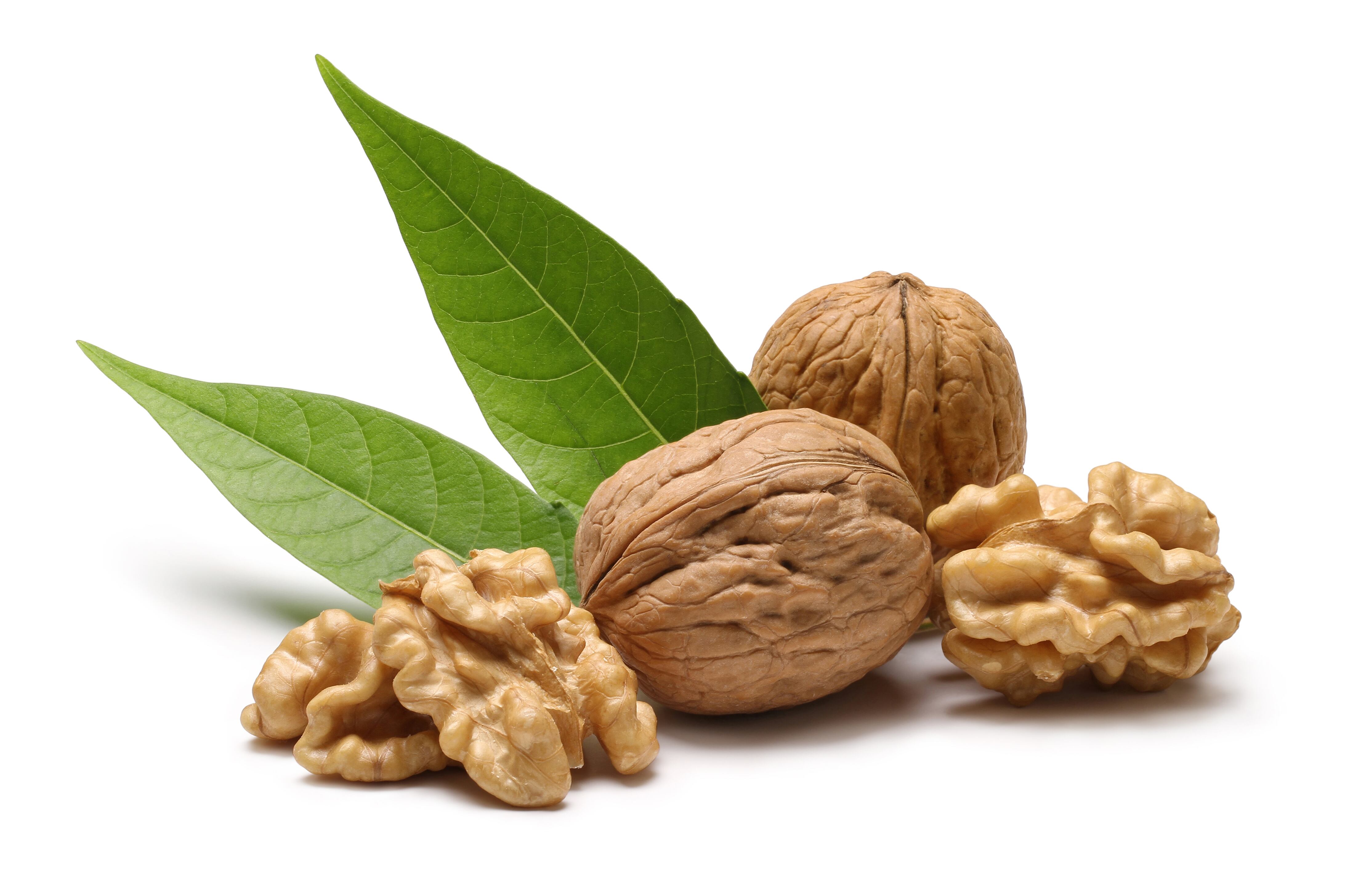 Nueces