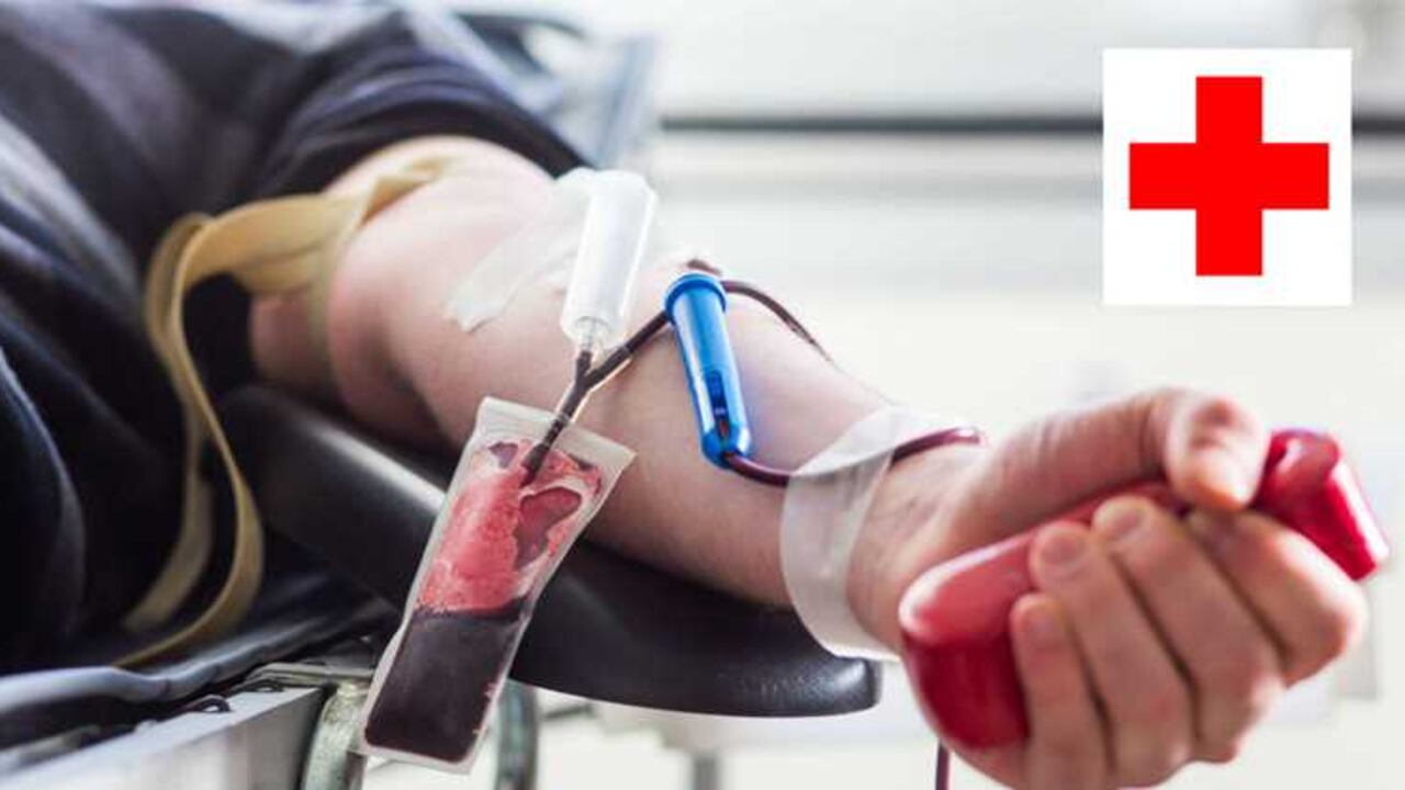 El principal motor para donar debe ser el moral ya que se trata de un acto altruista.