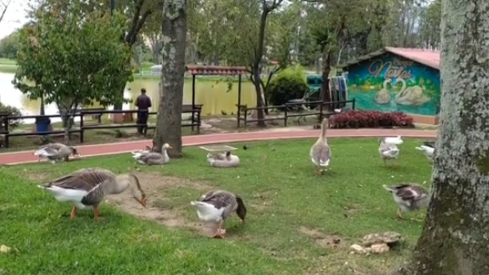 Parque de los Novios, uno de los sitios para hacer pícnic en Bogotá