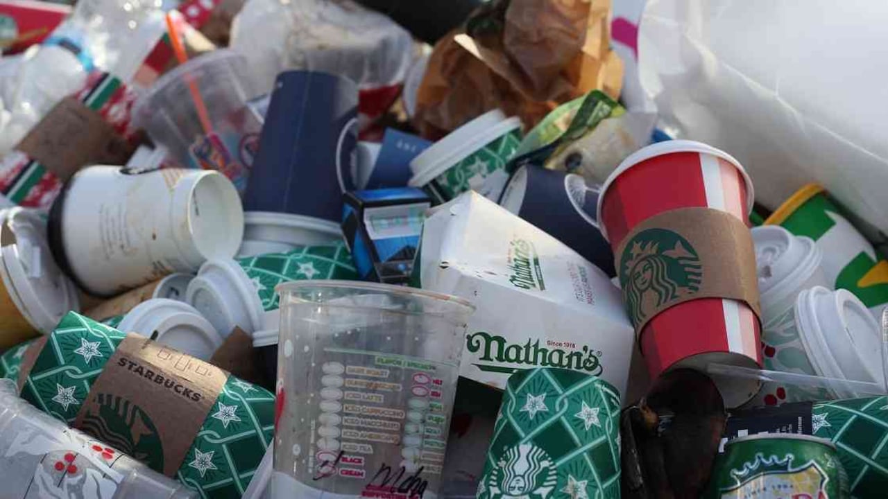 Al botadero de doña Juana en Bogotá, llegan 7.000 toneladas de basura a diario. Foto: Pixabay