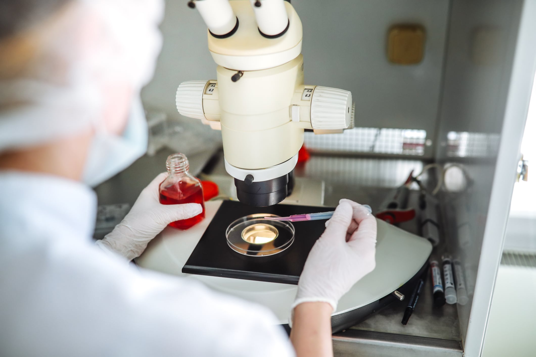 Los cromosomas humanos, incluida la pareja sexual X e Y, han evolucionado durante millones de años.