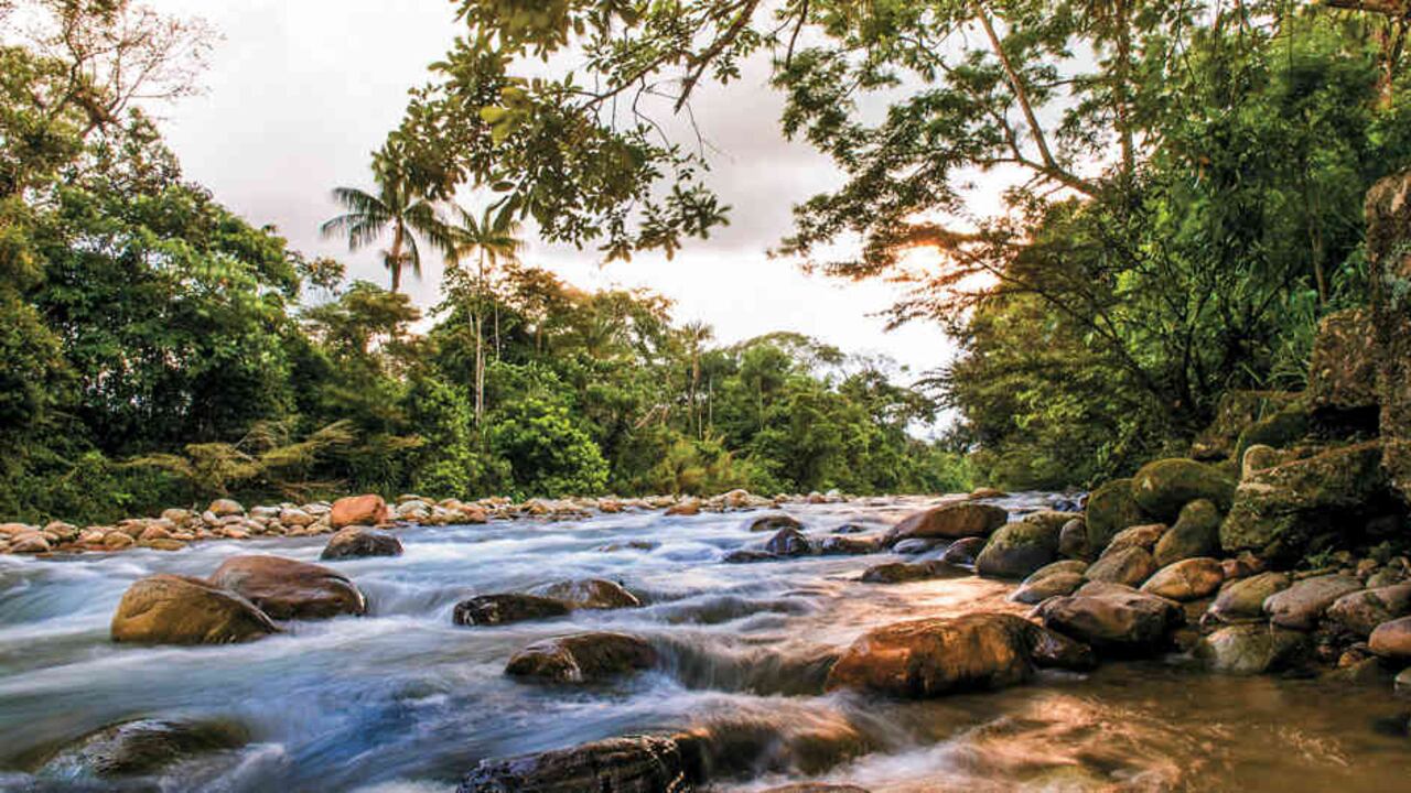Acacías recibe, a ritmo de pasaje a todo aquel que se quiera impregnar de su embrujo llanero.