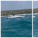 La embarcación transportaba a estos turistas, se volcó por razones aún desconocidas, generando una rápida movilización de las autoridades y de otras embarcaciones cercanas para brindar ayuda.