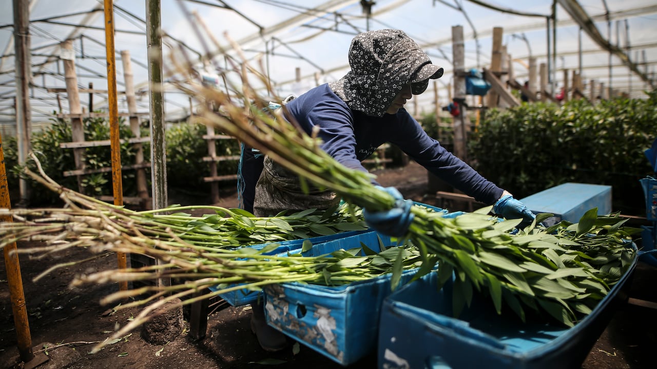 Flores, el regalo tradicional en el día de la madre