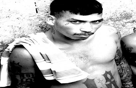 Algunas pandillas en otros lugares de Centroamérica se han interesado por el proceso y han enviado a sus propios representantes a conocer la experiencia salvadoreña.
