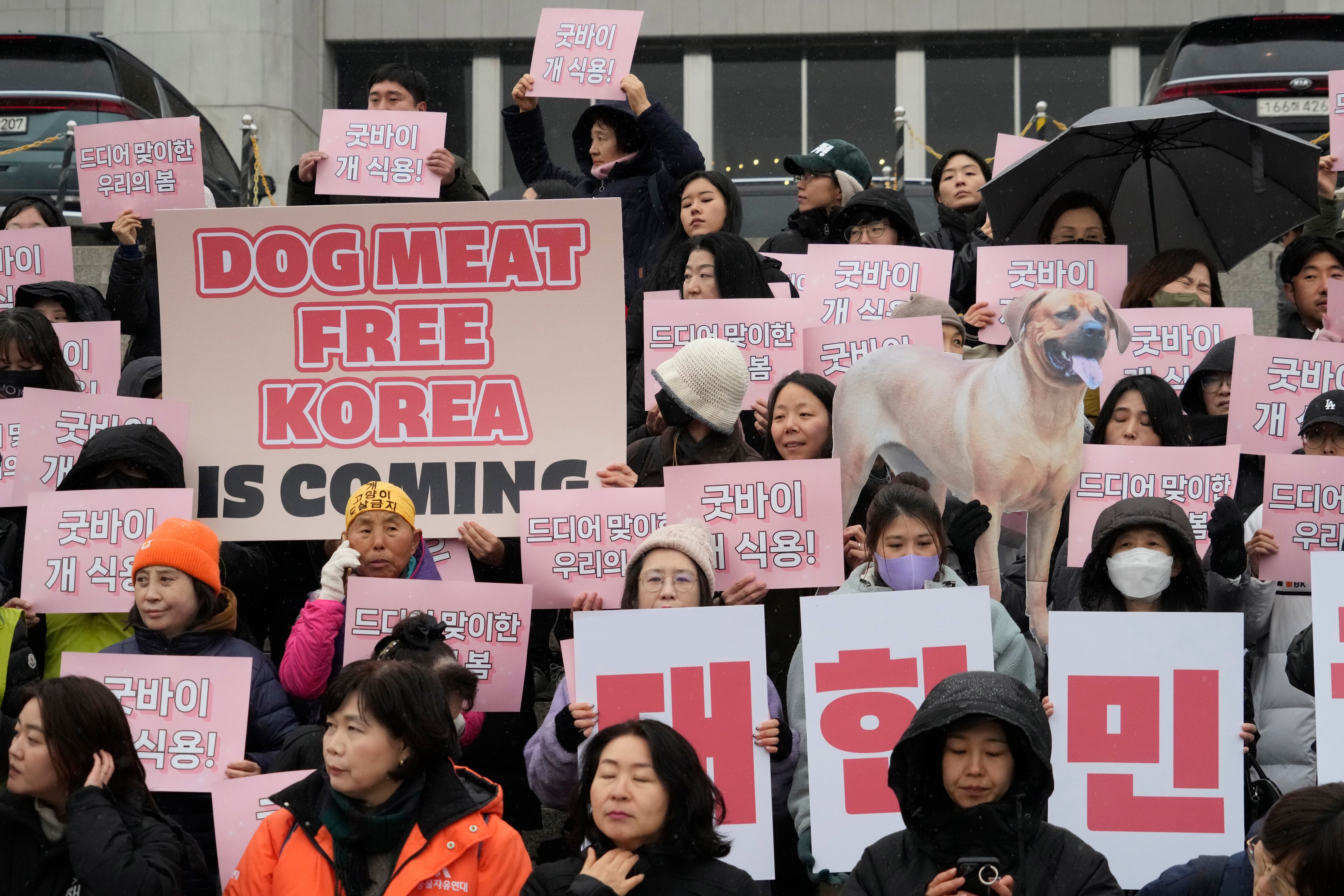 Activistas por los derechos de los animales asisten a una manifestación de protesta en apoyo al proyecto de ley de prohibición de la carne de perro liderado por el gobierno en la Asamblea Nacional en Seúl