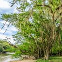 El Gallineral es uno de los parques natrales más lindos de Colombia.