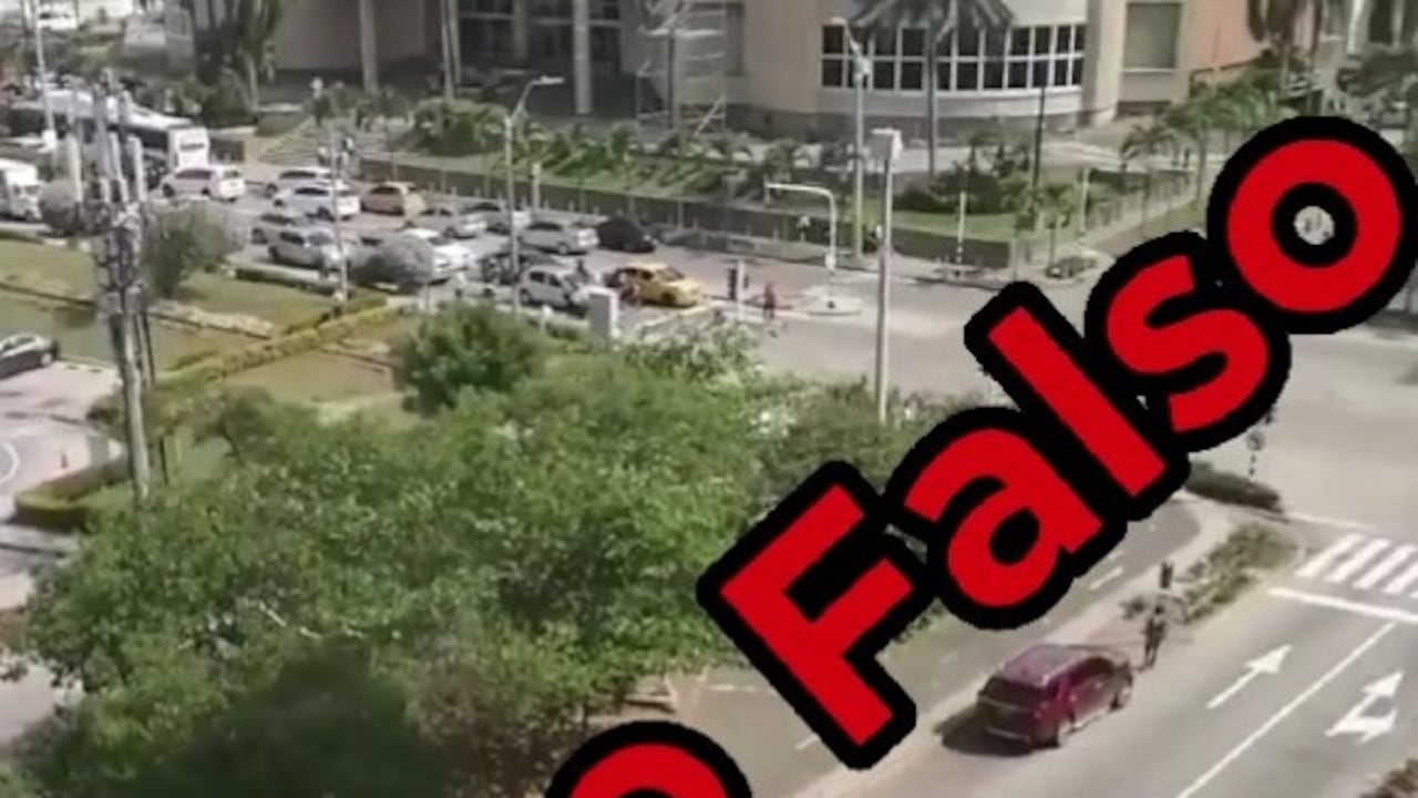 El video fue creado para la red social de TikTok