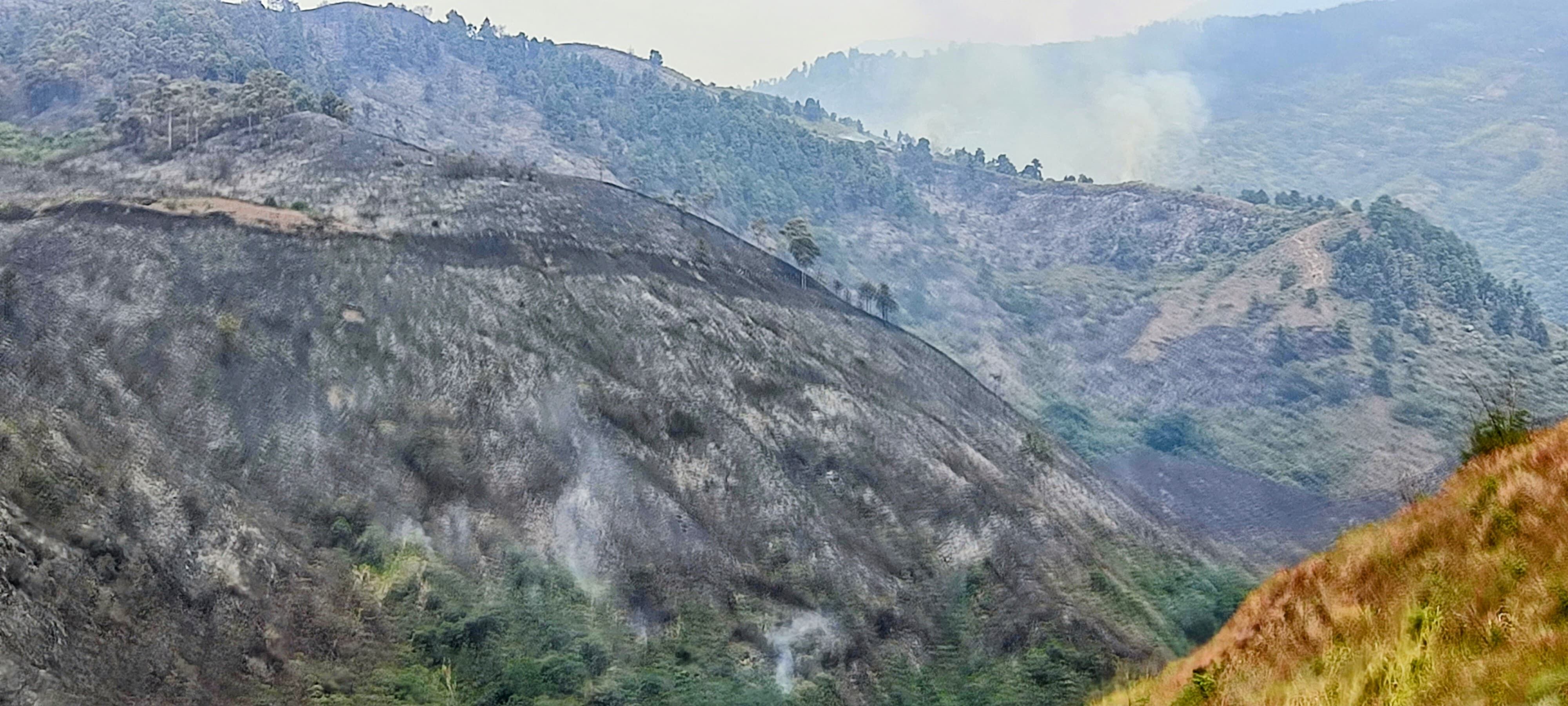 Incendio forestal en barrio Villa del Mar del sector de Terrón Colorado.