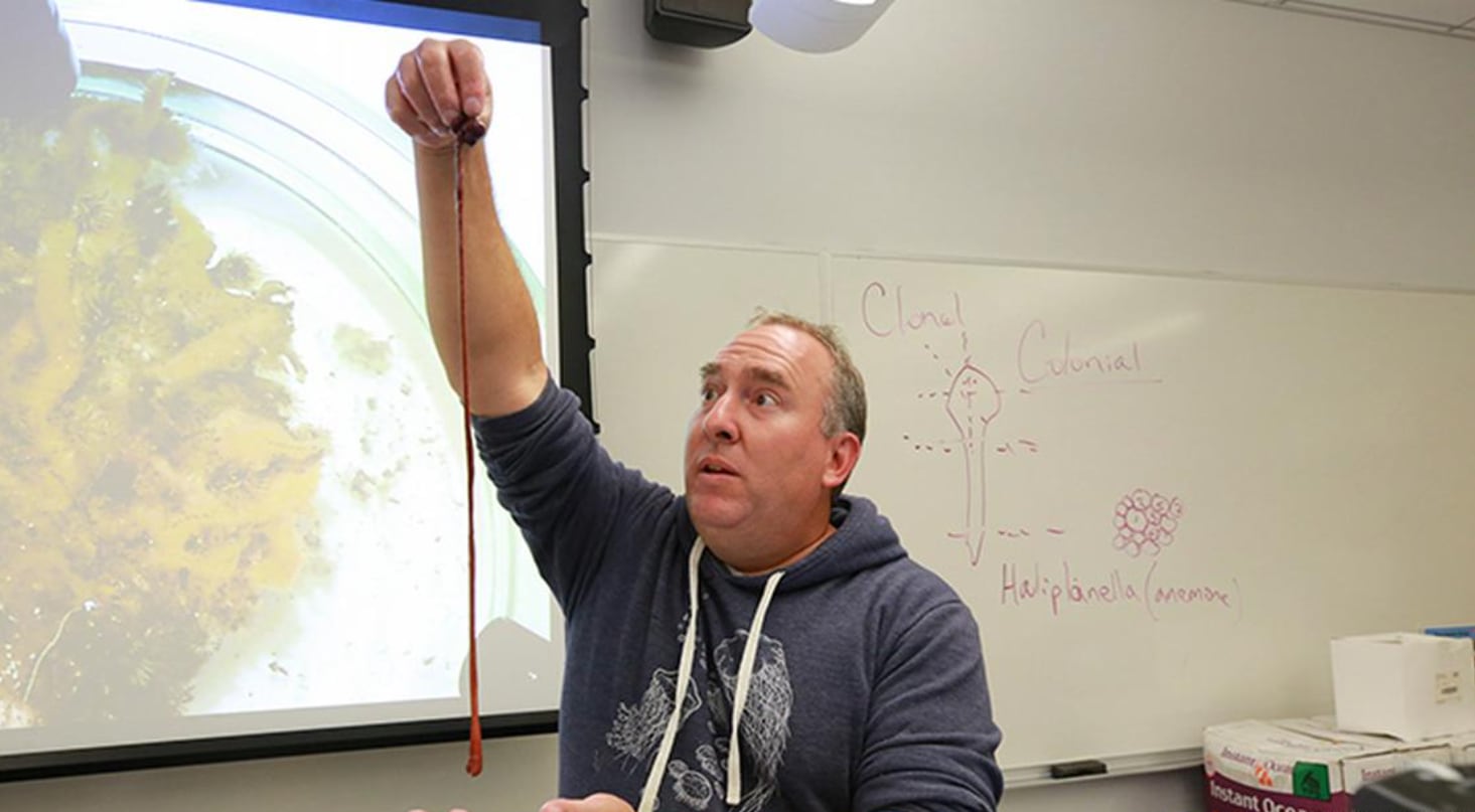 La curiosidad de una exalumna llevó a uno de los hallazgos más inesperados de la biología marina reciente.