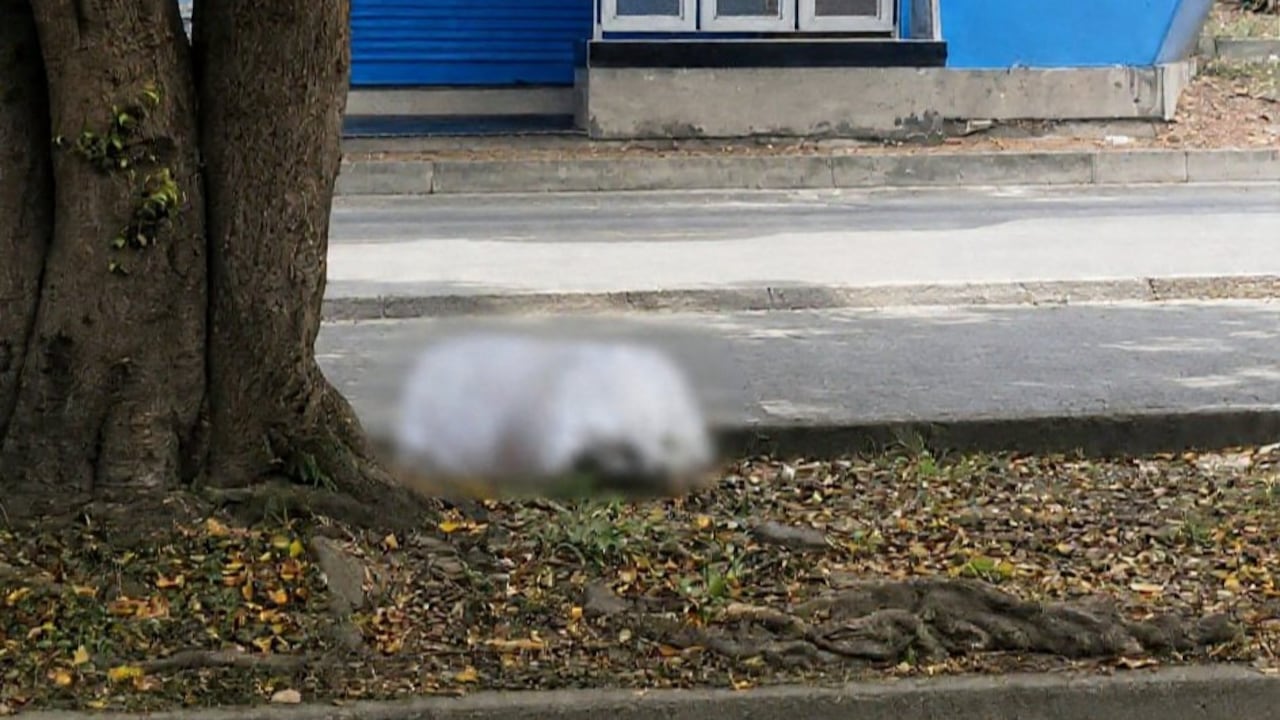 El cuerpo fue encontrado el pasado lunes frente a la estación del MIO de La Rivera. La víctima fue identificada como Marcela Gómez Sepúlveda, de 26 años.