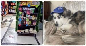 En video quedó registrada la agresión contra el perro en un almacén de mascotas en el municipio de Ubaté (Cundinamarca).