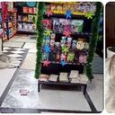 En video quedó registrada la agresión contra el perro en un almacén de mascotas en el municipio de Ubaté (Cundinamarca).