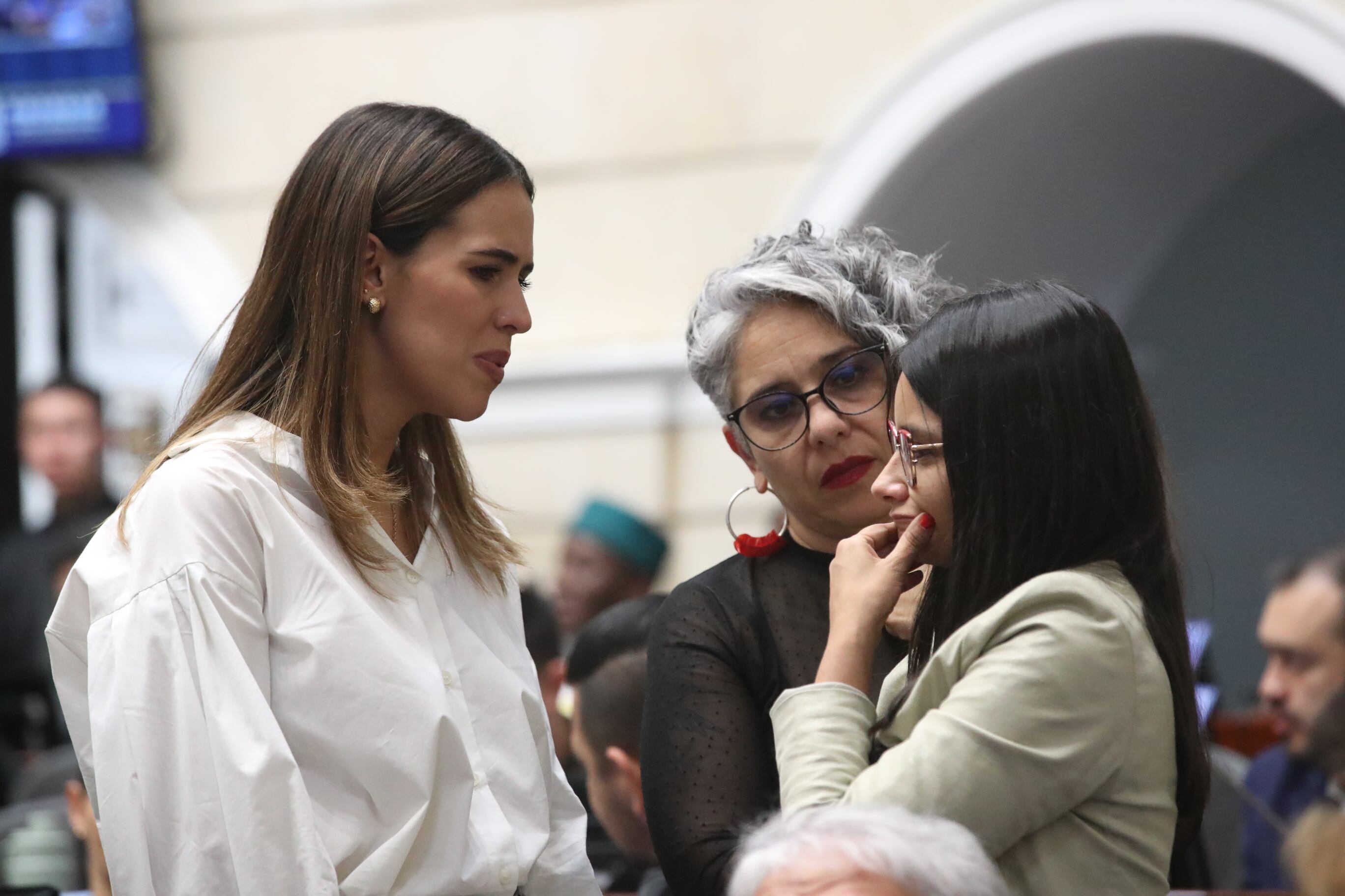 Plenaria Senado, consulta popular