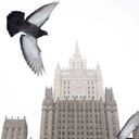 La CIA consideraba que las palomas podían ser efectivas en el espionaje contra la Unión Soviética. Foto: Getty Images/BBC