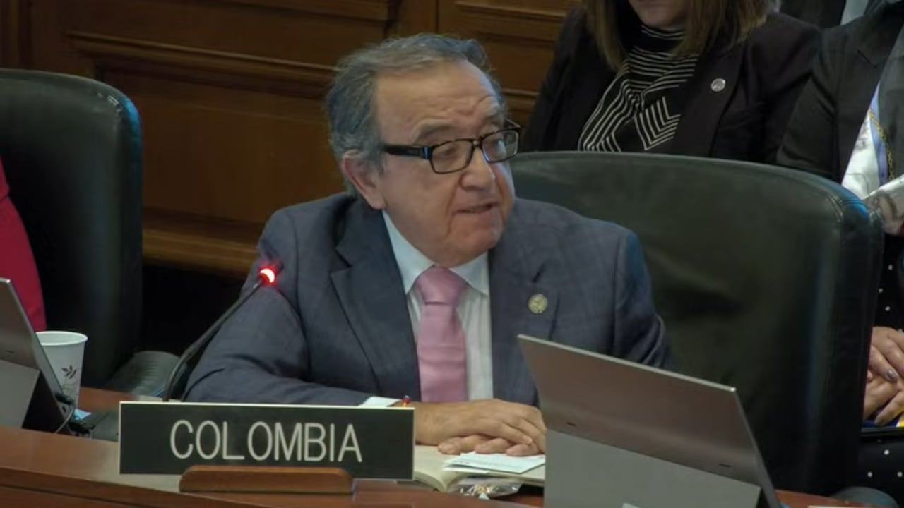 Luis Vargas, embajador ante la OEA.